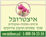 אצטרובל פרחים ומתנות