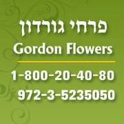 פרחי גורדון