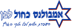 אמבולנס כחול לבן